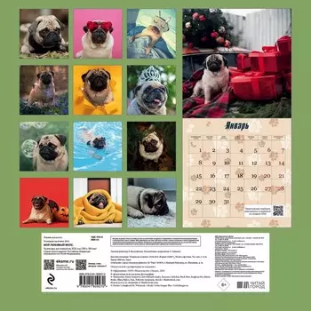 Мой любимый мопс. Календарь настенный на 2024 год, 30х30 см