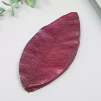 Молд "Лист магнолии" 12,5х5,5 см МИКС