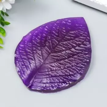 Молд пластик "Основной лист большой" 13,5х10,5 см МИКС