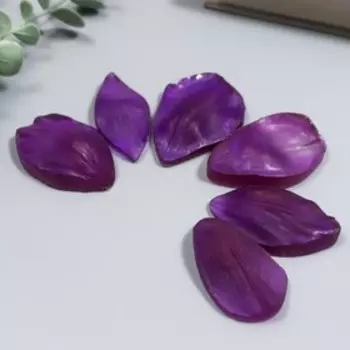 Молд пластик st-0103 "Лепесток" (набор 6 деталей)