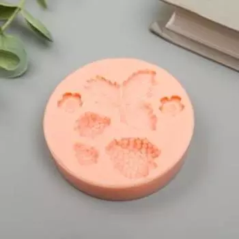 Молд силикон "Земляника" МИКС