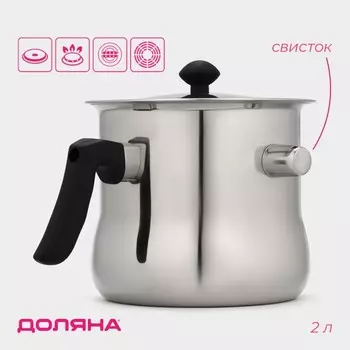 Молоковарка Доляна, 2 л, h=15 см, d=16.5 см, нержавеющая сталь