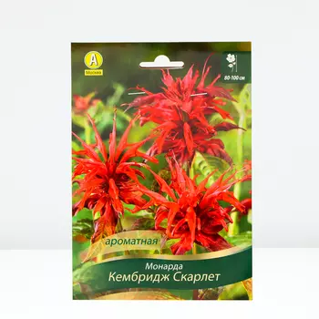 Монарда Кембридж Скарлет, 1 шт, Весна 2024