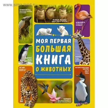 Моя первая большая книга о животных
