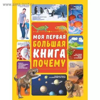 Моя первая большая книга ПОЧЕМУ