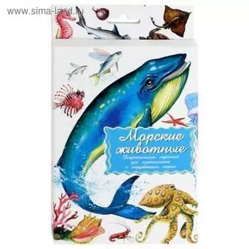 Морские животные