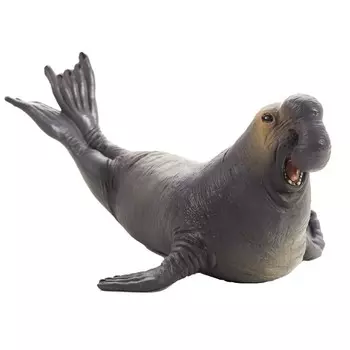 Морской слон