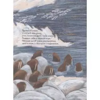 Морж как морж, ничего особенного. Димитрова Д.