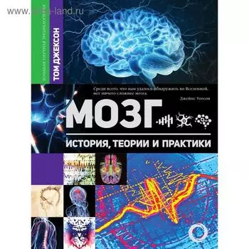 Мозг. История, теории и практики