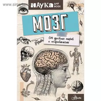 «Мозг. От древних мифов к нейробиологии», Руни Э.