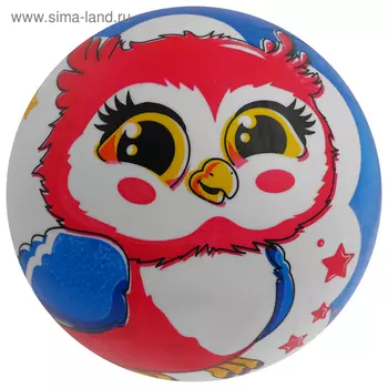 Мяч детский ZABIAKA «Совушка», d=22 см