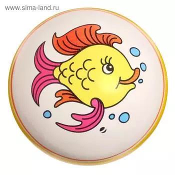 Мяч резиновый, диаметр 10 см, с рисунком, МИКС