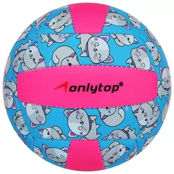 Волейбольный мяч ONLYTOP «Кошечка», машинная сшивка, 18 панелей, р. 2, PVC