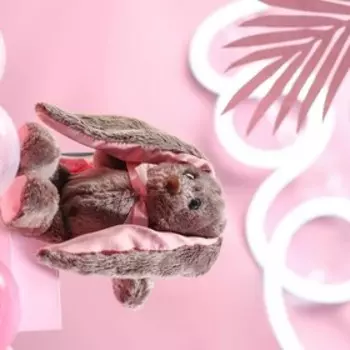 Мягкая игрушка «Малышка Li», зайка