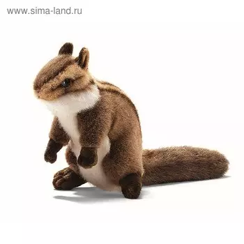 Мягкая игрушка «Бурундук», 16 см