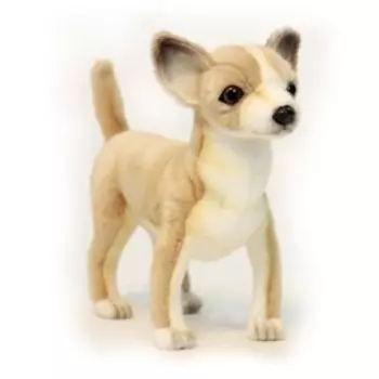 Мягкая игрушка «Чихуахуа», 27 см