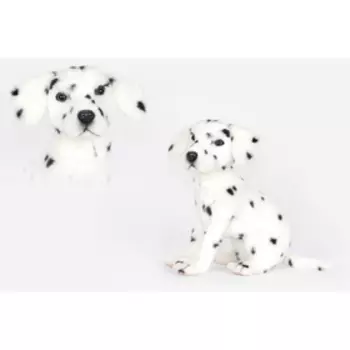 Мягкая игрушка «Далматинец», 30 см