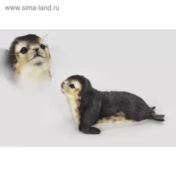 Мягкая игрушка «Детеныш тюленя-монаха», 30 см