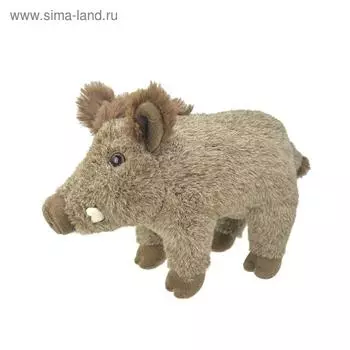 Мягкая игрушка «Дикий кабан», 24 см