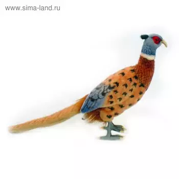 Мягкая игрушка «Фазан», 31 см