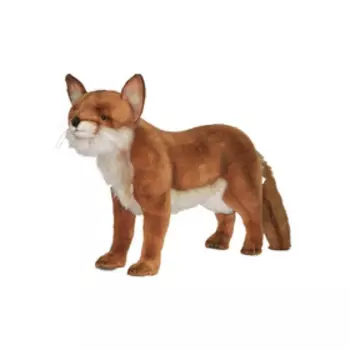 Мягкая игрушка «Лисица рыжая», 62 см