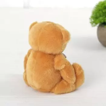 Мягкая игрушка «Мишка», цвета МИКС