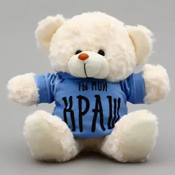 Мягкая игрушка Мишка «Ты мой КРАШ» в кофте
