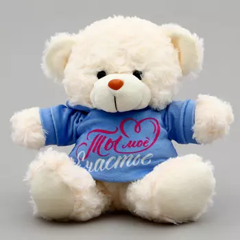 Мягкая игрушка Мишка «Ты моё счастье» в кофте