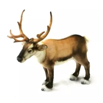 Мягкая игрушка «Олень северный», 45 см