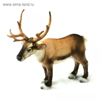 Мягкая игрушка «Олень северный», 45 см