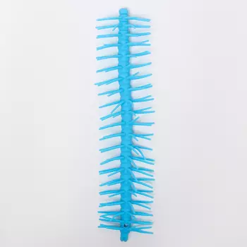 Антистресс сквиш мялка «Червячок», в шоубоксе, МИКС