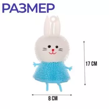 Антистресс сквиш мялка «Зайка», цвета МИКС, в шоубоксе