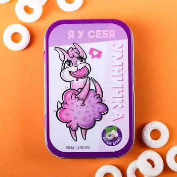 Мятное драже в кейсе «Умничка», 25 г.