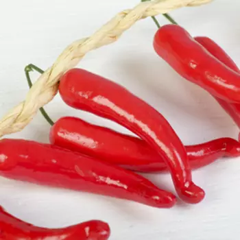 Муляж «Перцы красные», связка 12 шт., h=45 см