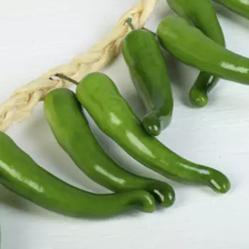 Муляж «Связка», 12 перцев, h=45 см, зелёный