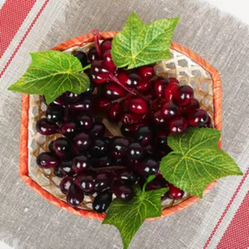 Муляж "Виноград овальный" 17 см 60 ягод, микс