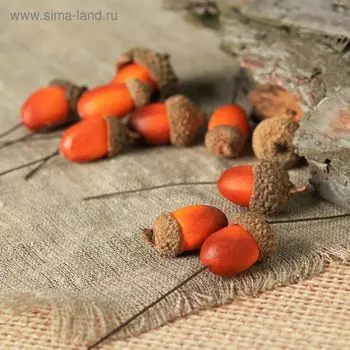 Муляж «Жёлуди», цена за 1 шт. (фасовка 10 шт.)