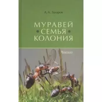 Муравей-семья-колония. Захаров А.
