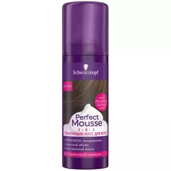 Мусс для волос Perfect Mousse, 3 в 1, тонирующий, каштан, 120 мл