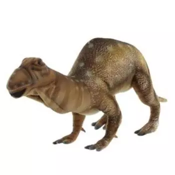 Муттабурразавр Лэнгдон, 58 см