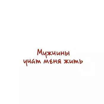 Мужчины учат меня жить. Солнит Р.