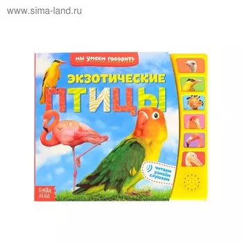 Музыкальная книга «Экзотические птицы», 12 стр.