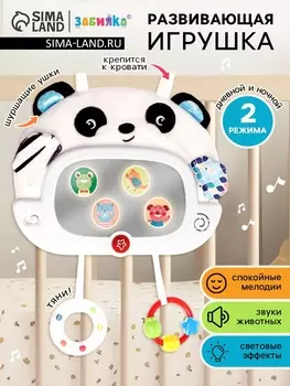 Музыкальная развивающая игрушка «Малышок: Панда», звуковые и световые эффекты