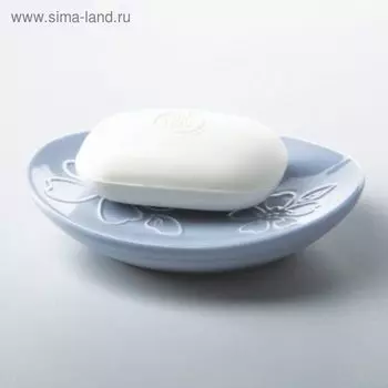 Мыльница