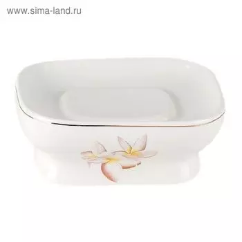 Мыльница Cise