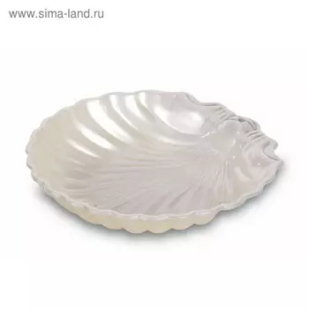 Мыльница «Ракушка»