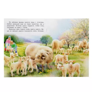 «На ферме», Гурина И. В.