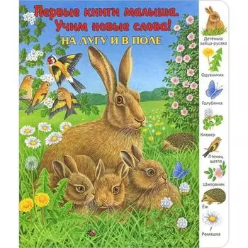 На лугу и в поле