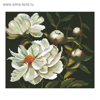 Набор алмазной вышивки «Аромат ночи»