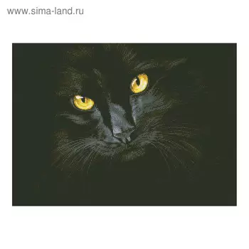 Набор алмазной мозаики «Чёрная кошка»
